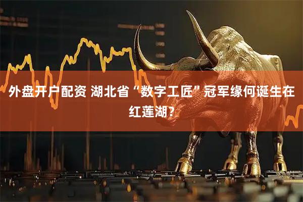 外盘开户配资 湖北省“数字工匠”冠军缘何诞生在红莲湖？