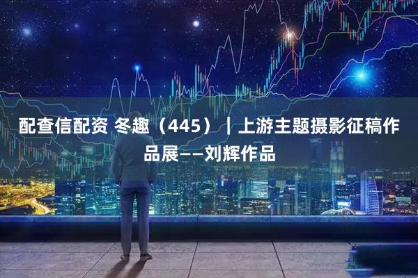 配查信配资 冬趣（445）｜上游主题摄影征稿作品展——刘辉作品